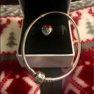 Pandora Bracelet and Pandora Charm